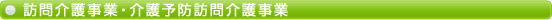 �K���쎖�ƁE���\�h�K���쎖��